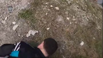 �� ���������� � ������� �������� ��������� �������