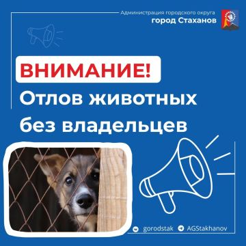 ������, 15 ��� 2026 ���� �� ���������� ���������� ������ ����� ����������� ����� �������� ��� ���������� (�����)