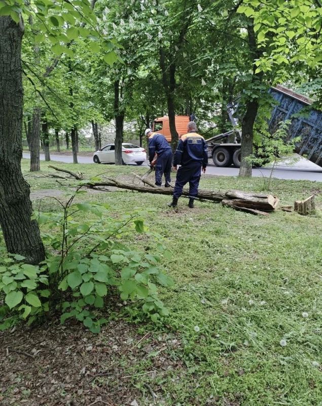 Сегодня в Луганске прошло два мероприятия по благоустройству
