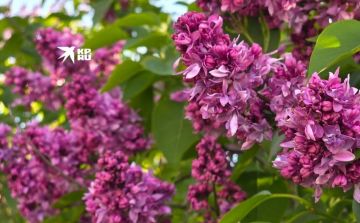 ������ � ��� 19 ���. ������� � ���������� ���� ����������� ���������� �� +29�C