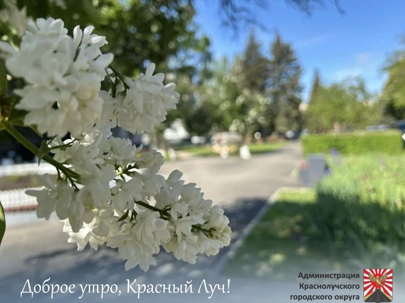 Доброе утро, краснолучане!