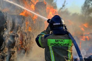 Категорию получателей статуса ветерана и инвалида боевых действий планируют расширить