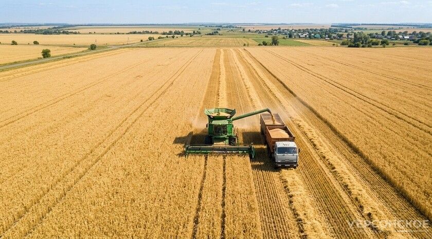 Аграрии Херсонской области приступят к уборке зерновых во второй половине июня