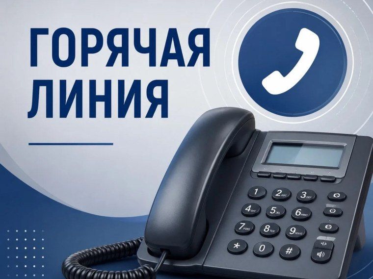 Горячая линия по вопросам легализации трудовых отношений