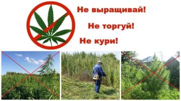 ����������������� �������� ��� ������������� �������������� ������ ������������� ����������� ��������� ������������� ����� ��������� �������� ���������� �����������: