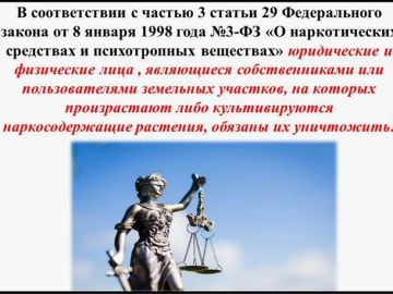 ������� �� ��������� � ����������� ������ ������������ ��������������� ��������, �� ��������������� �� ���������� ��������������� � ���������� ��� �� �� �����������