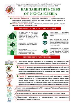 ����� �������: ��� �� ��������� ����� � ��� ������, ���� �� ������