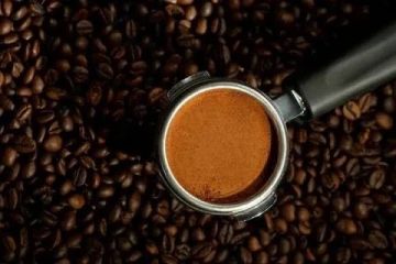 � ���� ������ ���� ������ ����� ����� ���� � ����