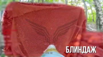 �������� ���������. ������� �����������