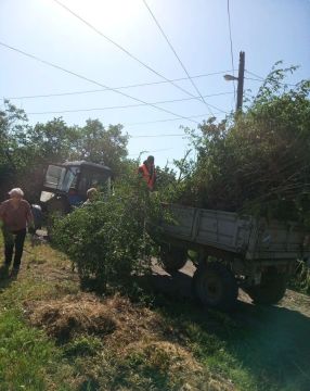 В квартале Цимлянском по инициативе ТОС пошло мероприятие по благоустройству