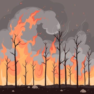 ��������� ����������: ���� ������� ���������� �������� �������