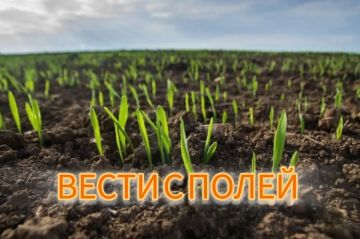 ��������-2026 � ���: ������� ����� � ����� �� 27 ���