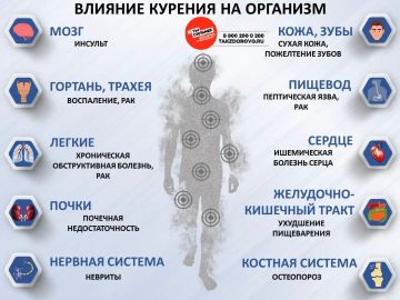 � ��� ������ ��������? ������� ������� �� ��������