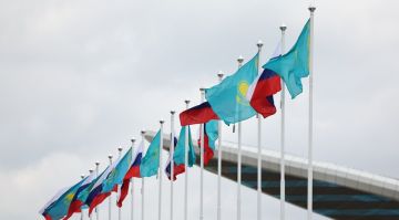 ������ � ��������� ������� ������ � ���� �������������� ����������� ��������������