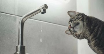 Юг Луганска без воды до вечера