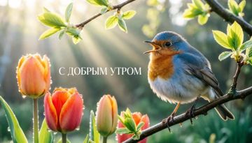 ������� ������� - 28 ���.. ������� � ������: