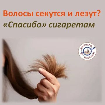 ������ ������: ������� � ��� ���� ��� ������