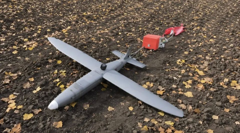 В ЛНР замечают новые бесшумные беспилотники Hornet