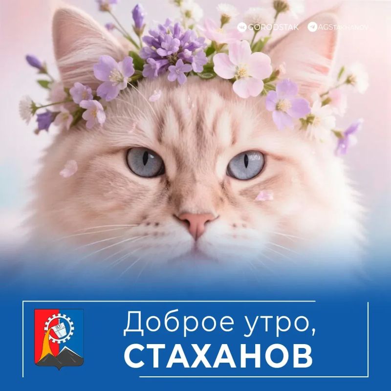 Доброе утро!. Сегодня особенный день — пятница, а ещё и Международный день соседей! Это отличный повод не только завершить рабочую неделю, но и познакомиться с теми, кто живёт рядом, вместе сделать общий двор чище и уютнее...