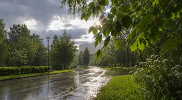 ��������� ������������ 31 ��� � ��� �� 17 �������� �����, ��������������� ����� � ������
