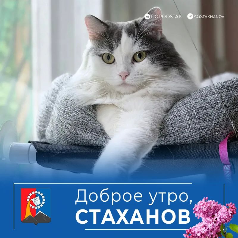 Доброе утро! Выходные начались!