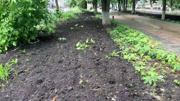 �� ����� ������, 8, �. ���������������� ���������� ���������������� ������ �� ������ ������� ������� ����������� ����������