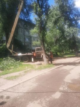 Андрей Рубанцов: Работаем с обращениями граждан, связанными с удалением аварийных деревьев на территории нашего городского округа