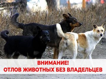 ����� �������� ��� ���������� ������������ �� ���������� �������������� ����������� ���������� ������������� �����