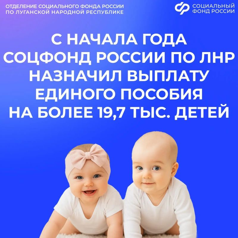 Как учитывают алименты при назначении единого пособия в ЛНР