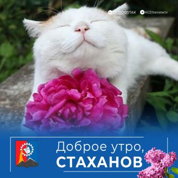 ������ ����, ������ �����!