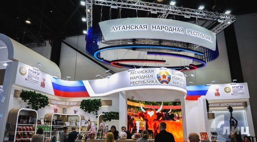 Луганский хладокомбинат раздал на Петербургском международном экономическом форуме (ПМЭФ) 14 тысяч порций мороженого