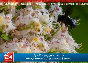 �� 31 ������� ����� ��������� � �������� � �����������, 8 ����