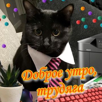 Исследование показало, что те, кто пишет "Доброе утро" в рабочих чатах, выгорают больше остальных