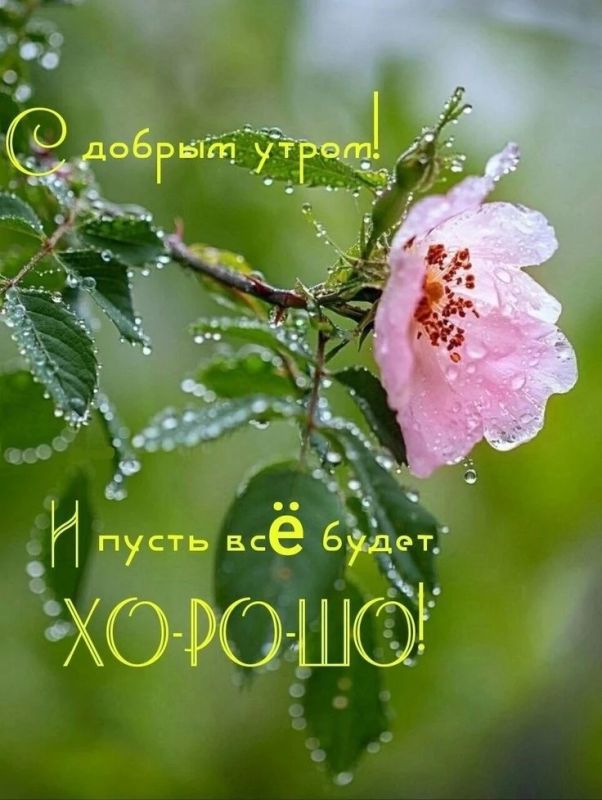 С добрым утром, дорогие жители Новопсковского муниципального округа!