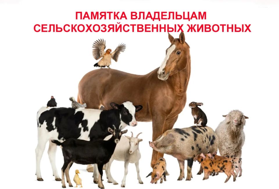 Владельцам сельскохозяйственных животных