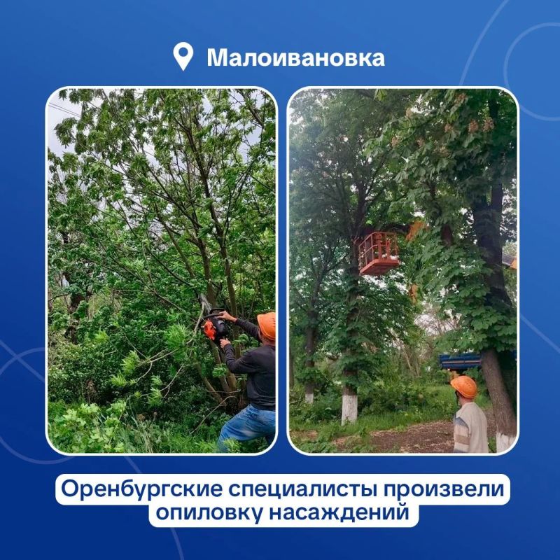 Регион-шеф продолжает опиловку деревьев в Перевальском округе