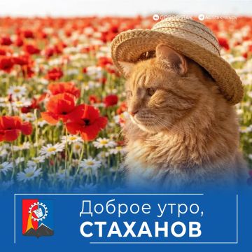 Доброе утро, родной город!
