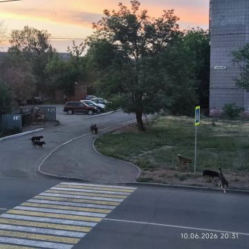 � �������� ������������ ���� ����������� �����