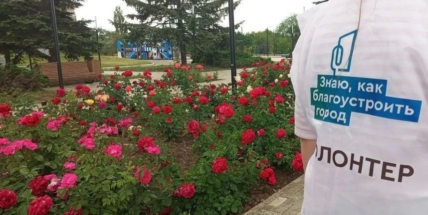 В Алчевске завершается Всероссийское онлайн-голосование по выбору объектов для благоустройства в 2027 году