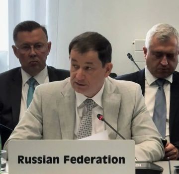 Постпредство России при ОБСЕ: