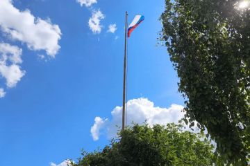 В г. Червонопартизанск и с. Новоборовицы провели мероприятия ко Дню России