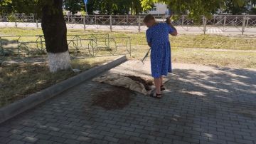 В преддверии Дня России в селе Пески сотрудники филиала "Песковского СДК" совместно с работниками Почта ЛНР провели уборку территорию возле памятника Неизвестного солдата