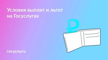 5 �������� � ��������� ������ �� ����������