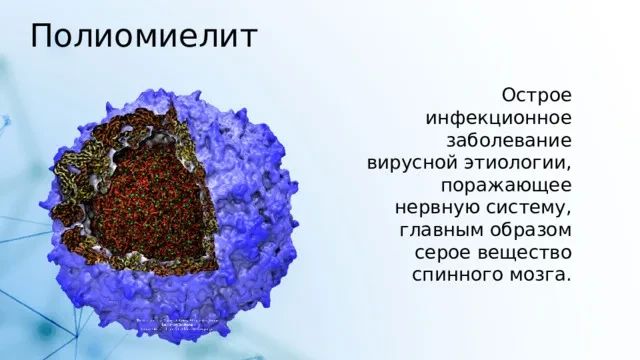 Профилактика полиомиелита