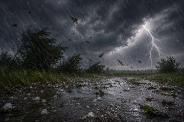 Дожди, грозы и град возможны в ЛНР, предупреждает МЧС