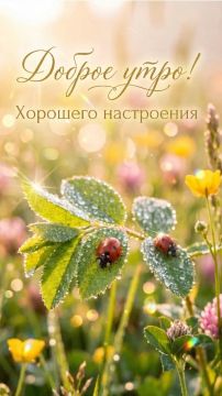 С добрым утром, дорогие жители Новопсковского муниципального округа!