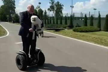 ��������� ������ ���� ���������� ���������� �� ������� � � �����