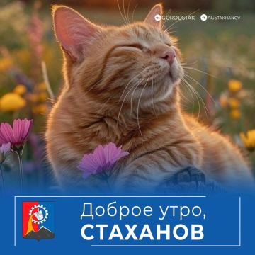 ������ ����, ��������!. �������
