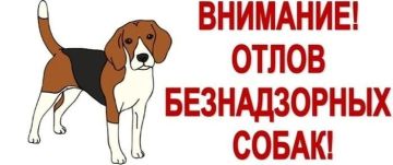 В Н И М А Н И Ю ЖИТЕЛЕЙ !!!