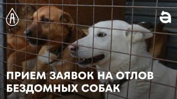 ��������!!!. ������ �� ����� �������� ��� ���������� ����������� � ������ ����������������� ��������� � �������� �������� ���������� ������������� �������������� ������ ������������� ����������� ���������� �������������...